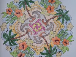 whatsapp bild 2025-07-09 um 12.05.05_42bc3aff